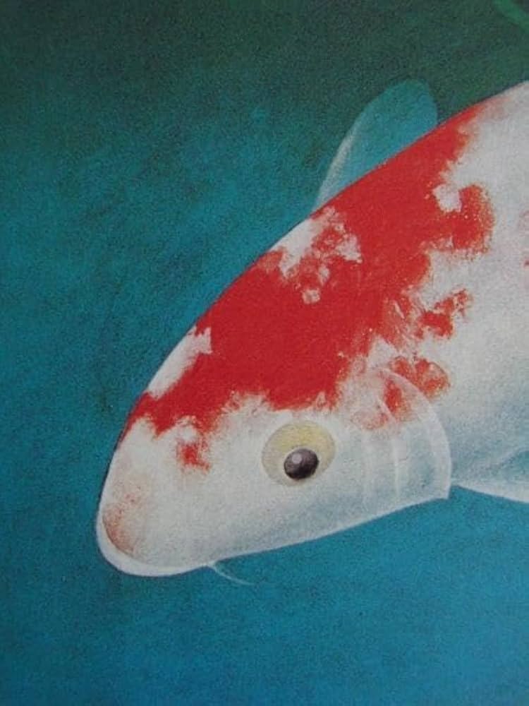 関根将雄、【水温む】、希少な額装用画集より、新品額装付、状態良好